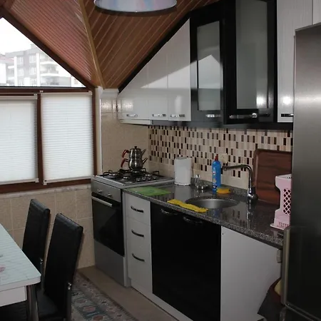 Apartment Payitaht House *