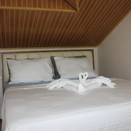 Payitaht House Apartment *